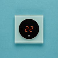 Терморегулятор Aura TAKTO 1604 Green Pastel (нежный бирюзовый)