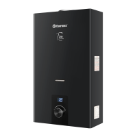 Водонагреватель проточный газовый Thermex Tion 20 D (Black)
