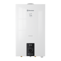 Водонагреватель проточный газовый Thermex Tion 20 D