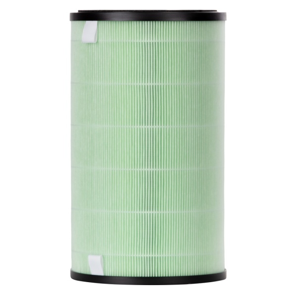 Фильтр Electrolux FAP-2075 Anti Smog Active