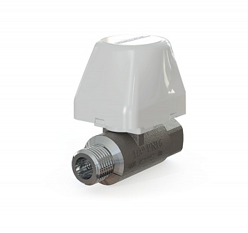 Кран шаровый с электроприводом Аквасторож-20 Эксперт