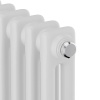 Дизайн-радиатор Royal Thermo Insignia C2180 - 06 секций белый