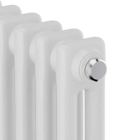 Дизайн-радиатор Royal Thermo Insignia C2180 - 06 секций белый